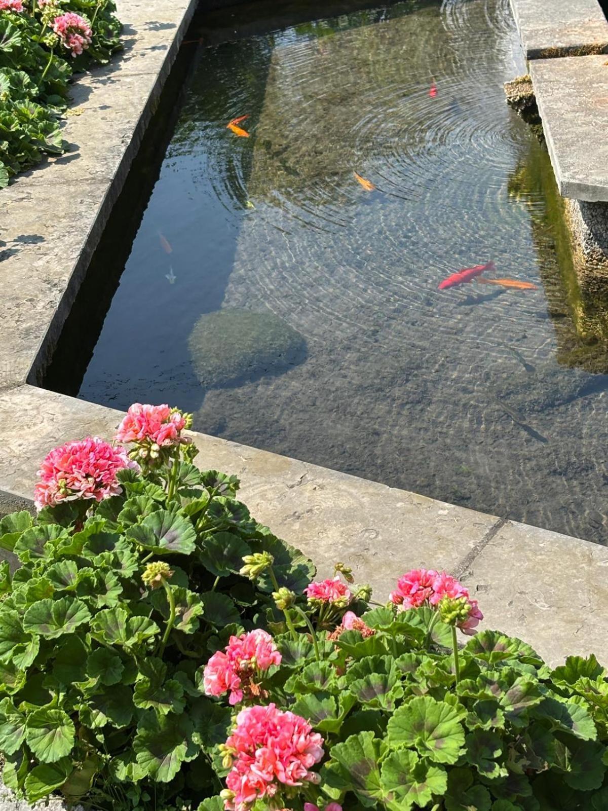 Hotel San Carlo Malcesine Buitenkant foto